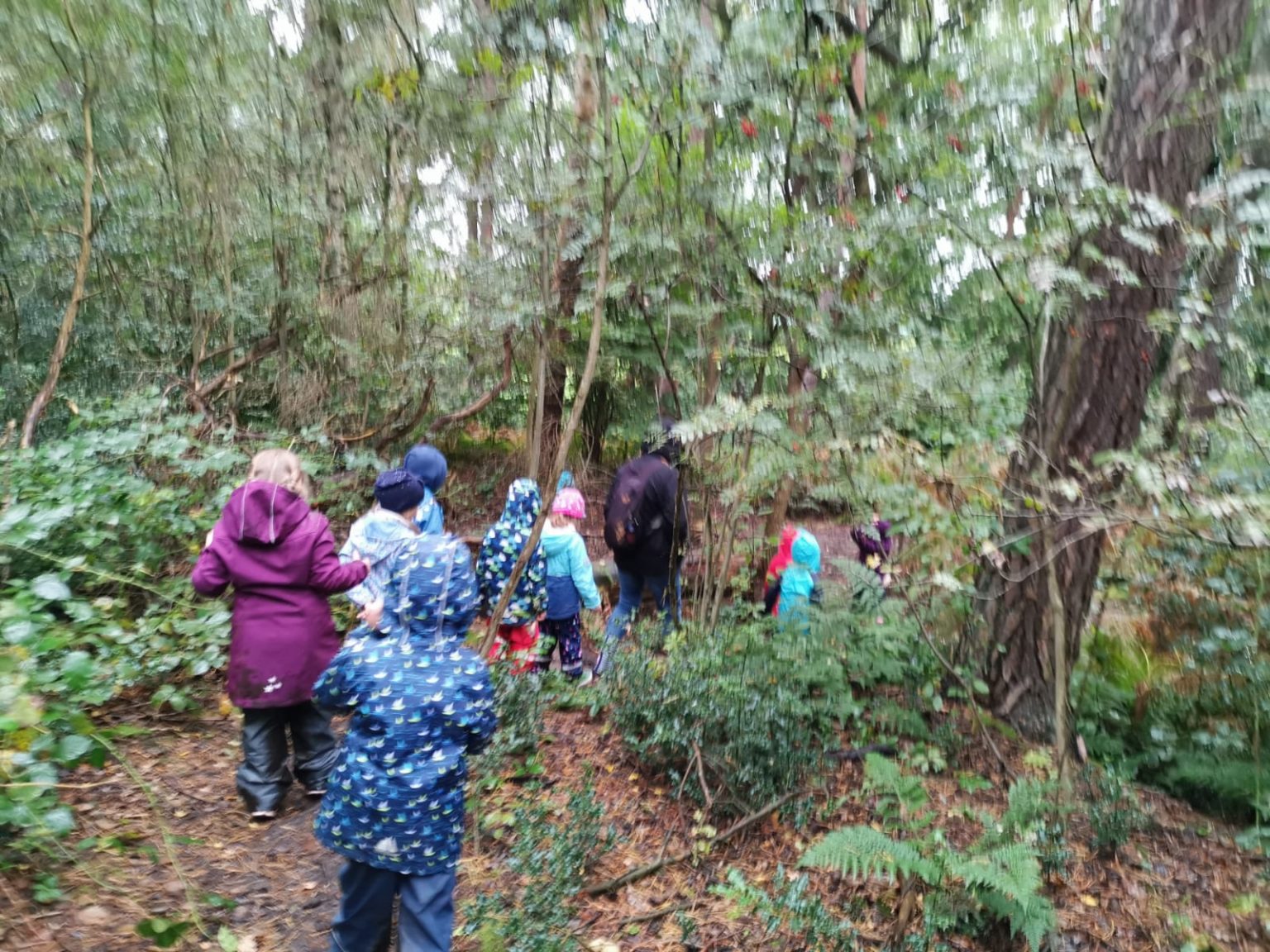 Waldspaziergang Mit Folgen Sohn Der Leere