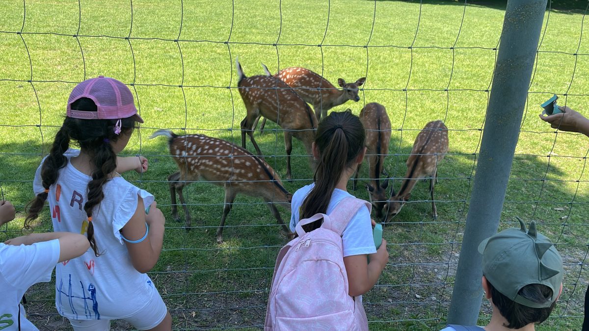 Die letzten Tage der Vorschulkinder – Ev. FZ Lohberg